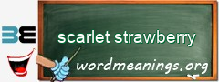 WordMeaning blackboard for scarlet strawberry